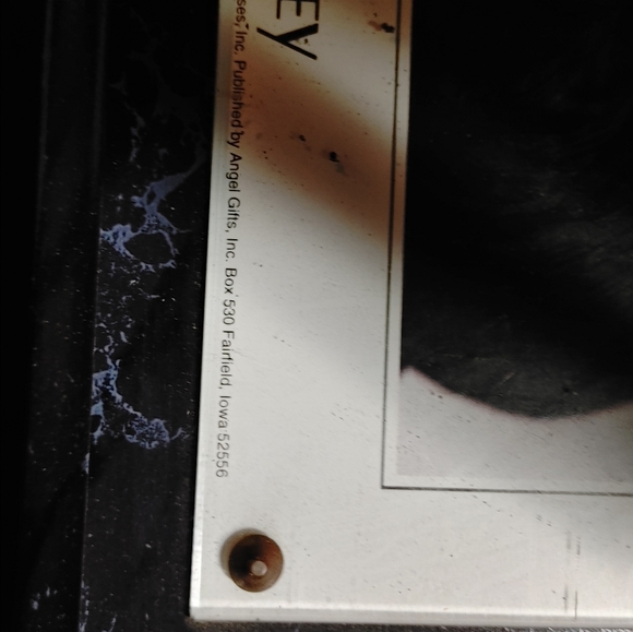 Elvis plaque - Picture 2 of 4